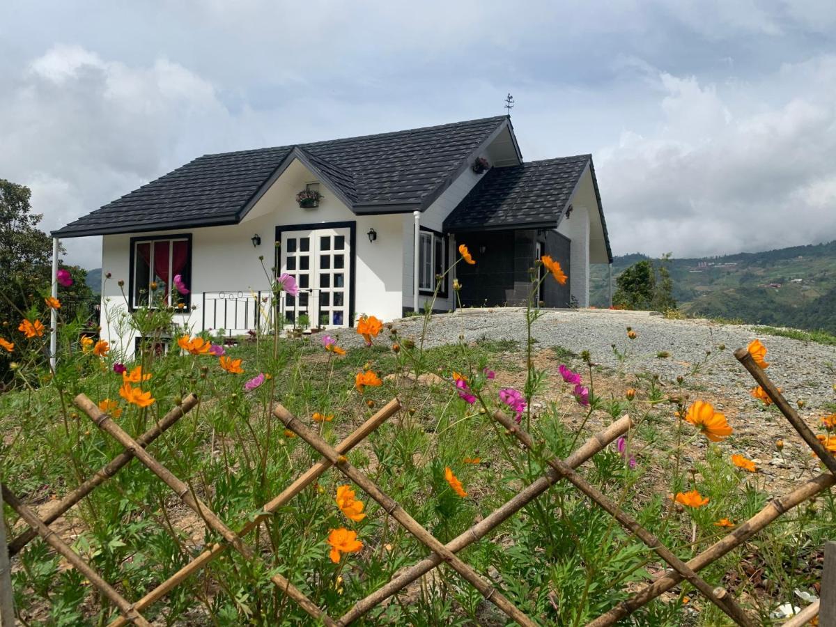 Hounon White Chimney Cottage 拉瑙 外观 照片